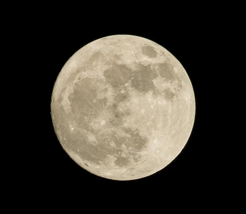 Moon Suit